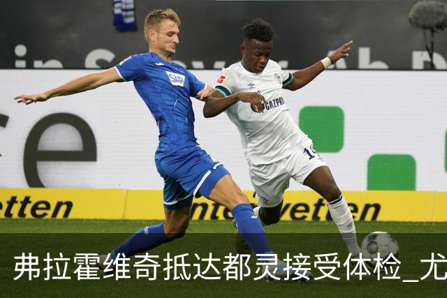 弗拉霍维奇抵达都灵接受体检 尤文球迷夹道欢迎