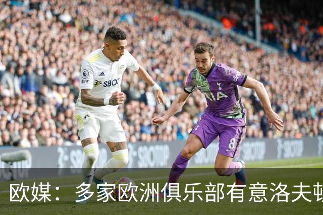 欧媒：多家欧洲俱乐部有意洛夫顿 但他在CBA年薪约200万美元