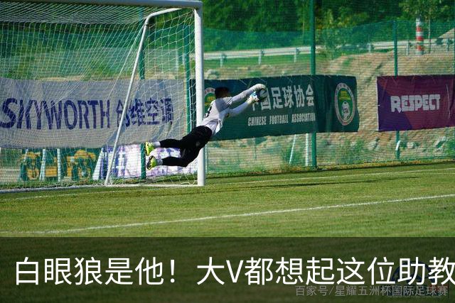 白眼狼是他！大V都想起这位助教 把鲁能告上法庭