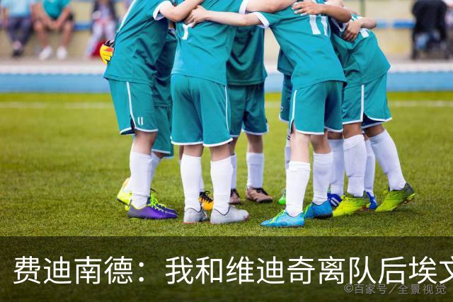 费迪南德：我和维迪奇离队后埃文斯能力最强