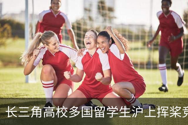 长三角高校多国留学生沪上挥桨竞渡 龙舟牵线感知中国